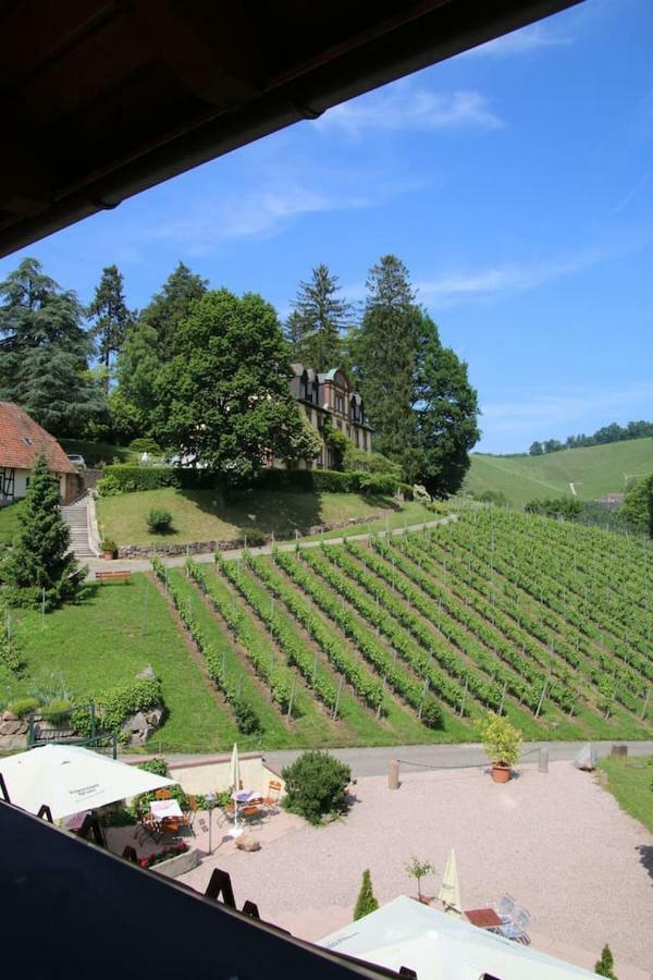 Wein Lodge Durbach - Schlossblick Ngoại thất bức ảnh